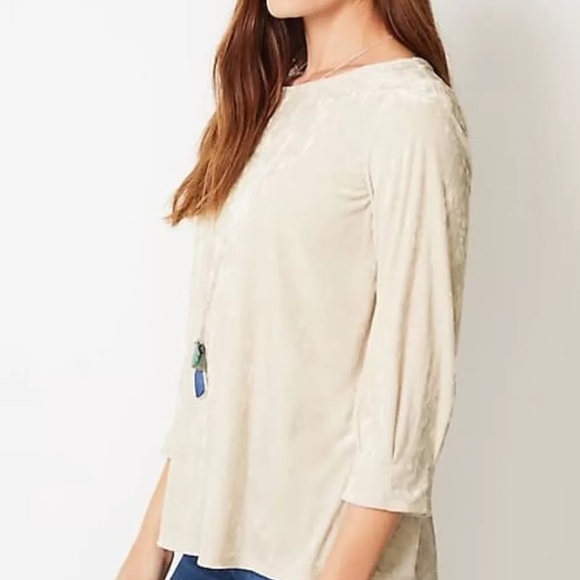 NWT J. Jill Crushed Velvet A-Line Top (4X) - Picture 3 of 16